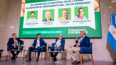 El camino de la proteína: soja y carne, aliados en el crecimiento del valor agregado