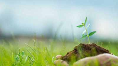 Muestreo de Suelo con xarvio®: experiencia de quienes ya lo usan