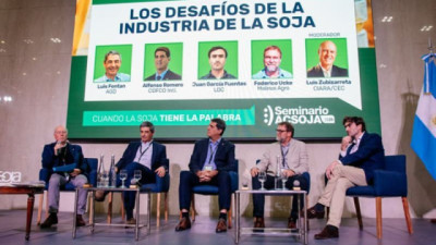 Fortalecer la sinergia producción-industria como aspecto clave para el futuro de la cadena de la soja