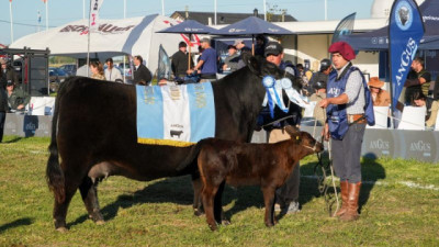 La Gran Campeón Hembra brilló en Cañuelas: el primer premio fue para Arandú