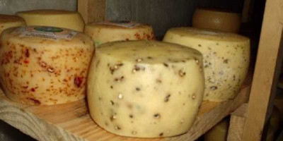 Lácteos funcionales: del laboratorio al Tambo.