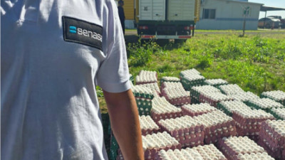 Se evitó el comercio de 36 mil Huevos sin documentación sanitaria en Entre Ríos