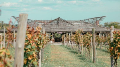 Gamboa: la franquicia que combina restaurante, bodega boutique y parcelas de viñedo