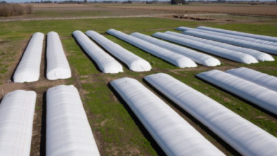 Más del 40 % de la producción nacional se conserva en silobolsas