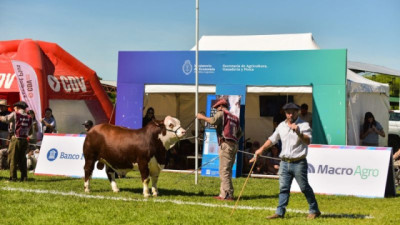 Más de 250 estudiantes participaron de charlas y concurso de jurados