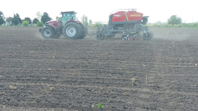 Arrancaron los ensayos de maíz y soja en el PT Farm