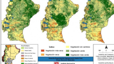 INTA publicó un informe sobre el estado de la vegetación en Santa Cruz