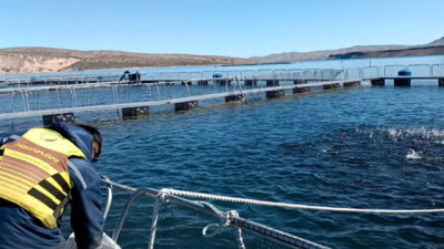 Por primera vez, Argentina logró apertura de 4 mercados para ovas de Trucha arcoíris
