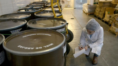 Las exportaciones apícolas alcanzaron el mayor volumen de los últimos 7 años