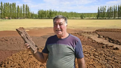 Hace «leña y aserrín» con frutas de Río Negro y Neuquén y provoca admiración en el mundo