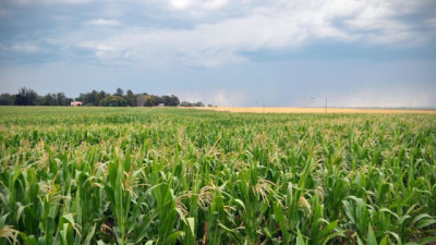 El campo argentino en movimiento: competir, producir e innovar con sostenibilidad, por Federico Landgraf