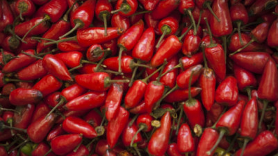 Argentina actualiza su reglamento sobre calidad del Pimiento en línea con el Mercosur