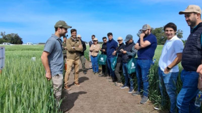Estrategia 2026 en Trigo: Cómo alcanzar el máximo rinde por hectárea y anticipar la próxima campaña