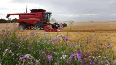 COP30 en Brasil: cinco soluciones innovadoras para impulsar la agricultura regenerativa y la seguridad alimentaria global