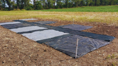 Con radiación solar reducen en un 50 % la aparición de malezas