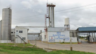 La fragilidad del sistema Lechero: cuando las malas gestiones ahogan a los tambos