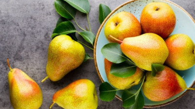 Argentina consolida su posición en el mercado internacional de frutas con crecimiento en 2025