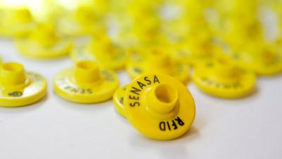 El Senasa oficializó la identificación electrónica obligatoria del Ganado desde 2026