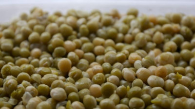 La producción de Legumbres 2024/2025 marcó un nuevo récord y creció 57% respecto a la campaña anterior