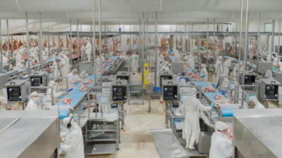 Actualización de criterios y refuerzo del bienestar animal en procesos de inspección