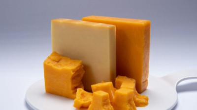 Cómo influyen la Leche y el queso en nuestro intestino