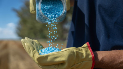 La Soja pierde millones por la falta de zinc y boro: la nueva estrategia para revertirlo