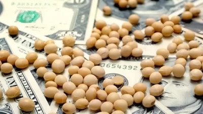 ¿Qué esperar del precio de la Soja?, por Agustin Vicari - mercado de granos