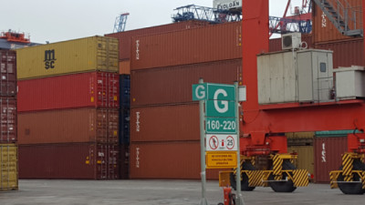 La Argentina abrió el mercado de Chile para vísceras y subproductos de origen animal