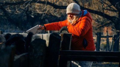 ¿Por qué la Patagonia puede ser un territorio clave para la lucha contra el cambio climático?