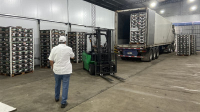 Se certificó el primer envío de naranjas frescas desde la provincia de Entre Ríos a Ecuador