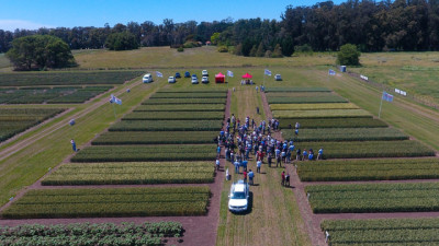 BUCK Avanza 2025: innovación y genética al servicio del productor argentino
