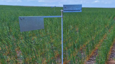 San Luis: incorporan Centeno para controlar la erosión