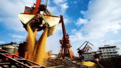 Harina de Soja: el producto que nos conecta con el 35% del planeta