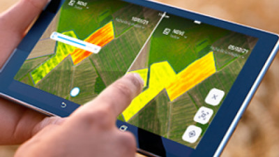 Syngenta abre su plataforma digital a desarrolladores para impulsar la innovación y reducir la brecha tecnológica en el agro