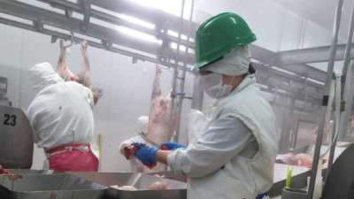 Producción de carne: Se rompe de un ciclo de crecimiento y se contrae la oferta global.