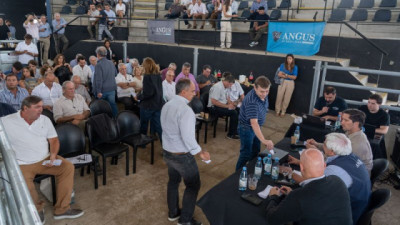 La Asociación Argentina de Angus definió los jurados de sus exposiciones 2026