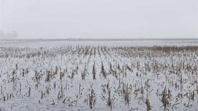 El Gobierno Nacional declaró la emergencia agropecuaria para Buenos Aires