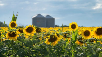 Nueva reducción de impuestos a las exportaciones para el campo