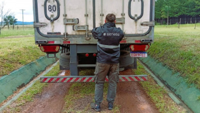Primera exportación de carne de dorado y surubí de piscicultura desde Misiones