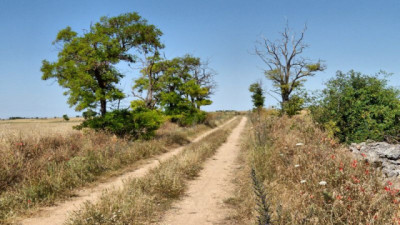 Un trimestre con probabilidad de temperaturas por encima de lo normal