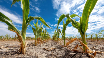 Llega EnBio 2026: Por primera vez un evento sobre estrés abiótico