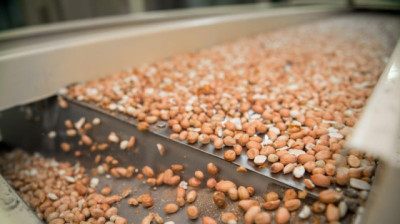 Exportaciones agroindustriales argentinas: máximo histórico en volumen, y fuerte suba en valor