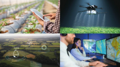 Curso online: Rentabilidad en Agricultura de Precisión. SIG y Teledetección.