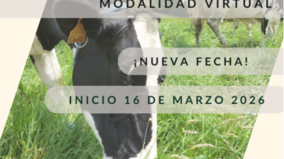 Diplomado en Producción Lechera en Sistemas Pastoriles – FEPALE & Zamorano