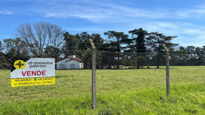 Campos en alza: menos oferta, más demanda y expectativas positivas hacia 2026