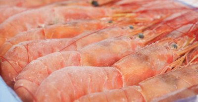 El langostino argentino fue certificado por el Marine Stewardship Council