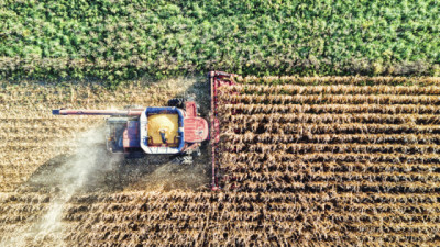 ¿Qué tan competitiva es Argentina para producir granos?