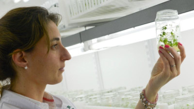 El Gobierno Nacional modernizó la normativa referente a las autorizaciones de Organismos Genéticamente Modificados de uso agropecuario