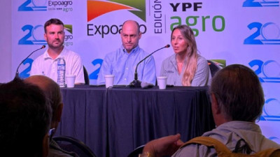 La genética del trigo avanza y Sembrá Evolución consolida un sistema para acercar la innovación al productor