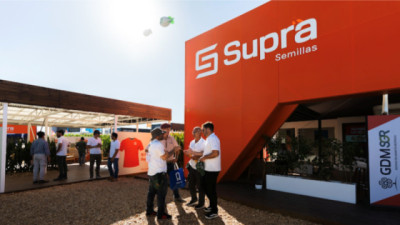 Del ambiente a la solución: cómo se piensa el maíz hoy